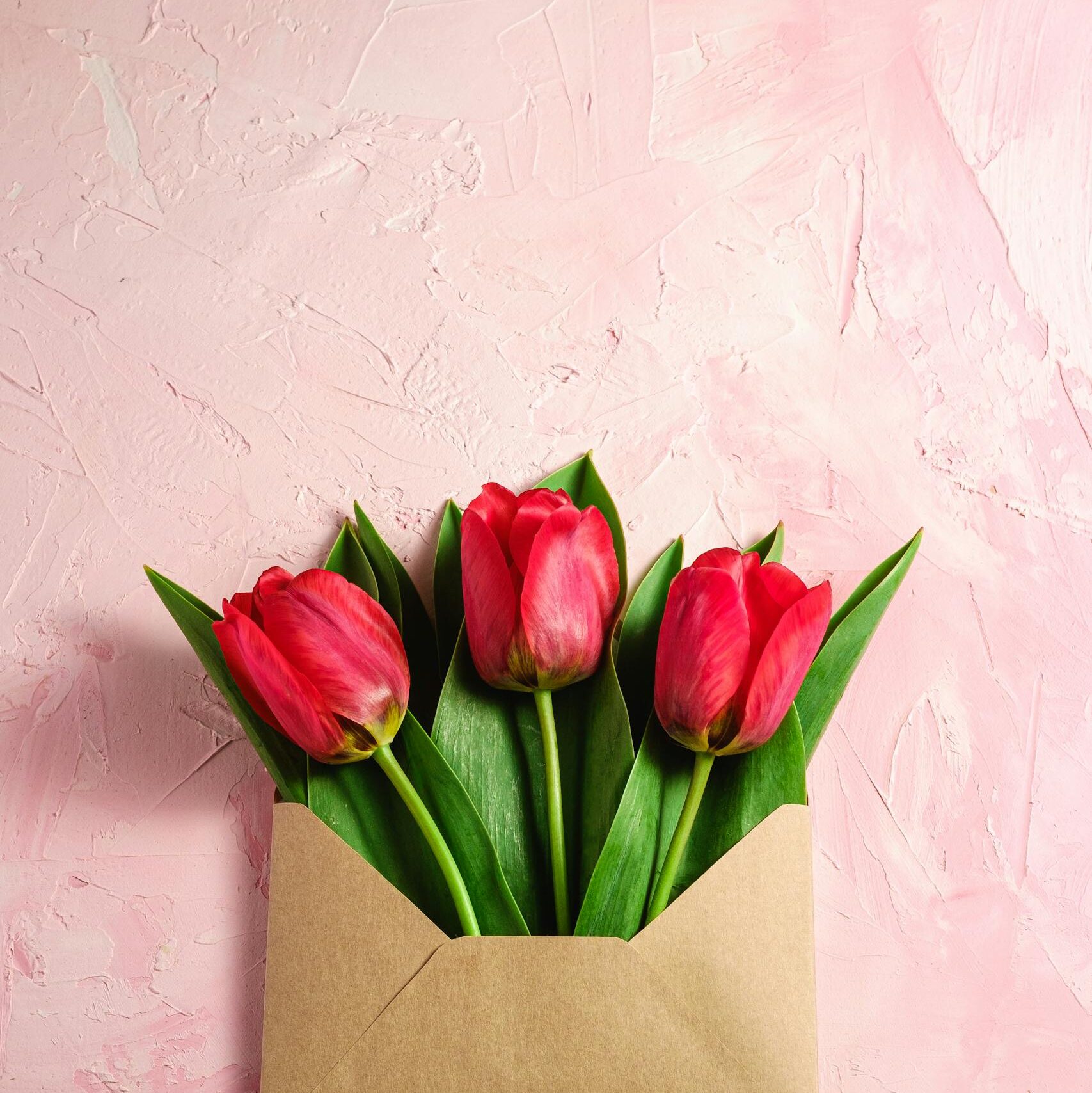 Three tulips arranged in an envelope on a pink textured background. Perfect for spring celebrations.